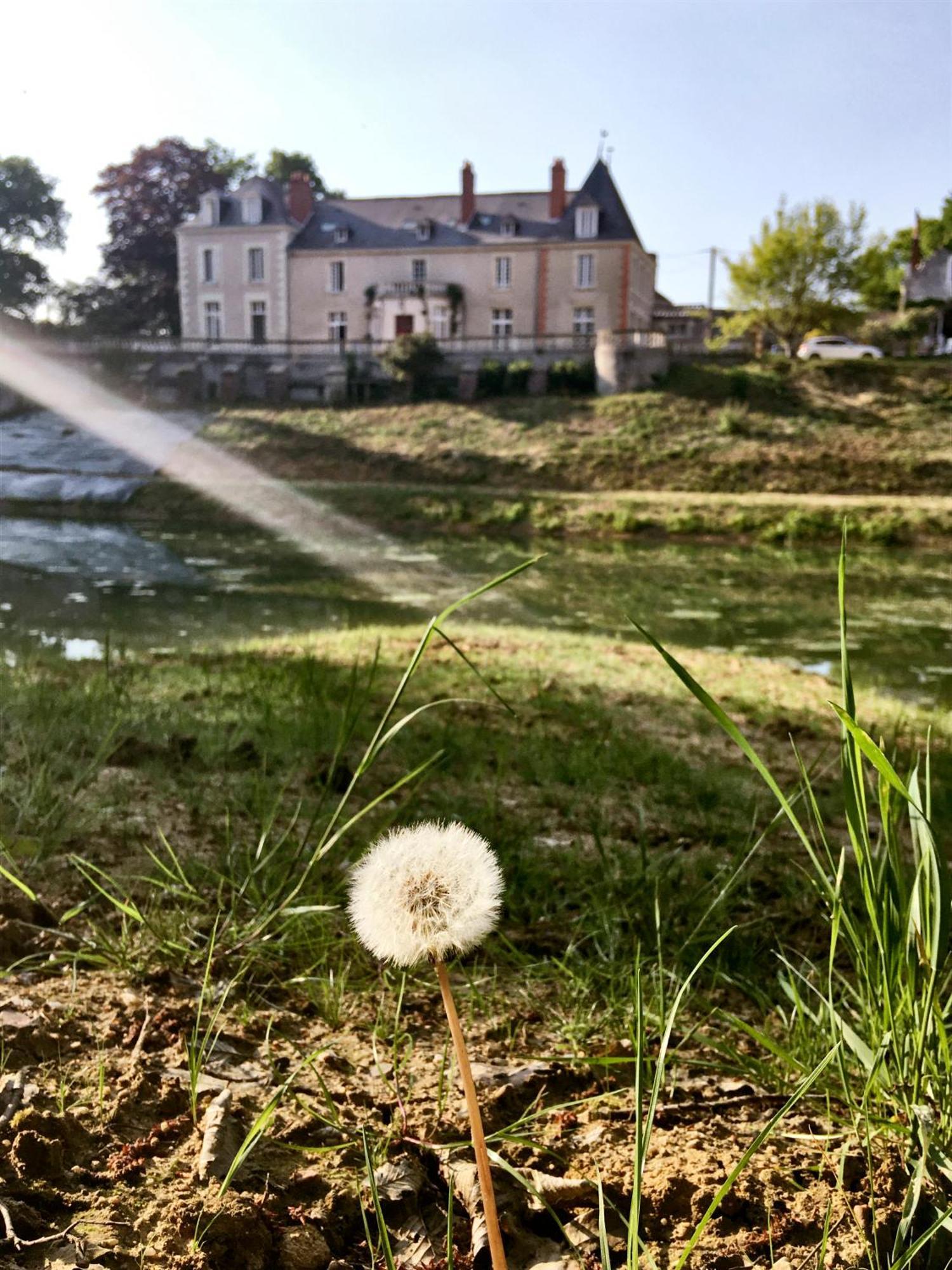 Chateau De La Huberdiere Nazelles-Negron Ngoại thất bức ảnh