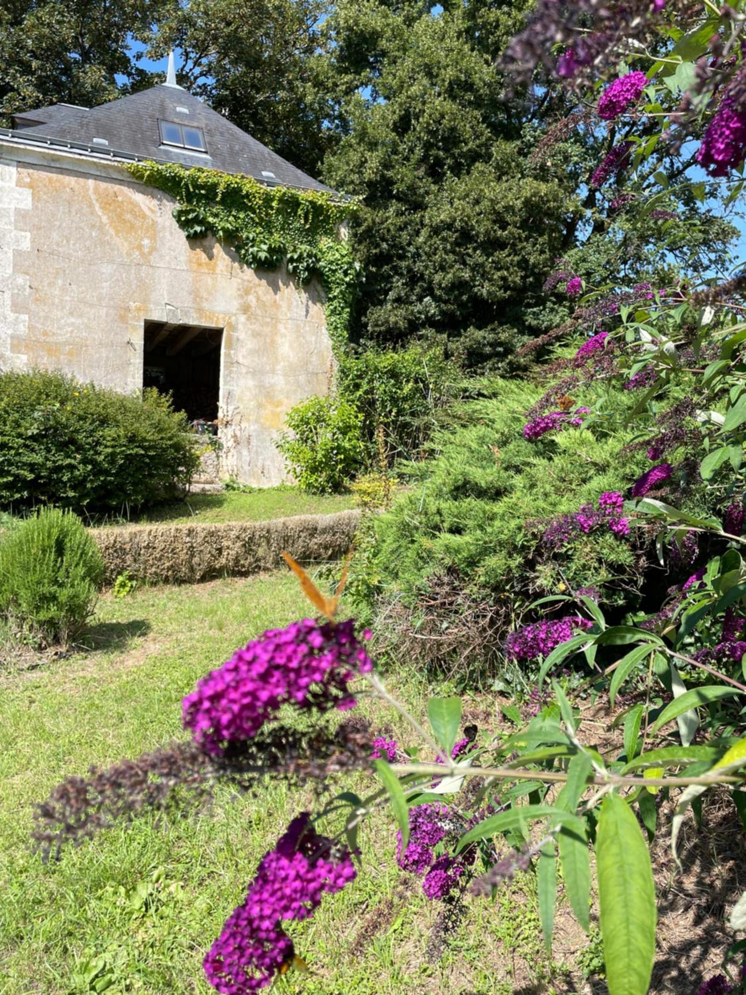 Chateau De La Huberdiere Nazelles-Negron Ngoại thất bức ảnh