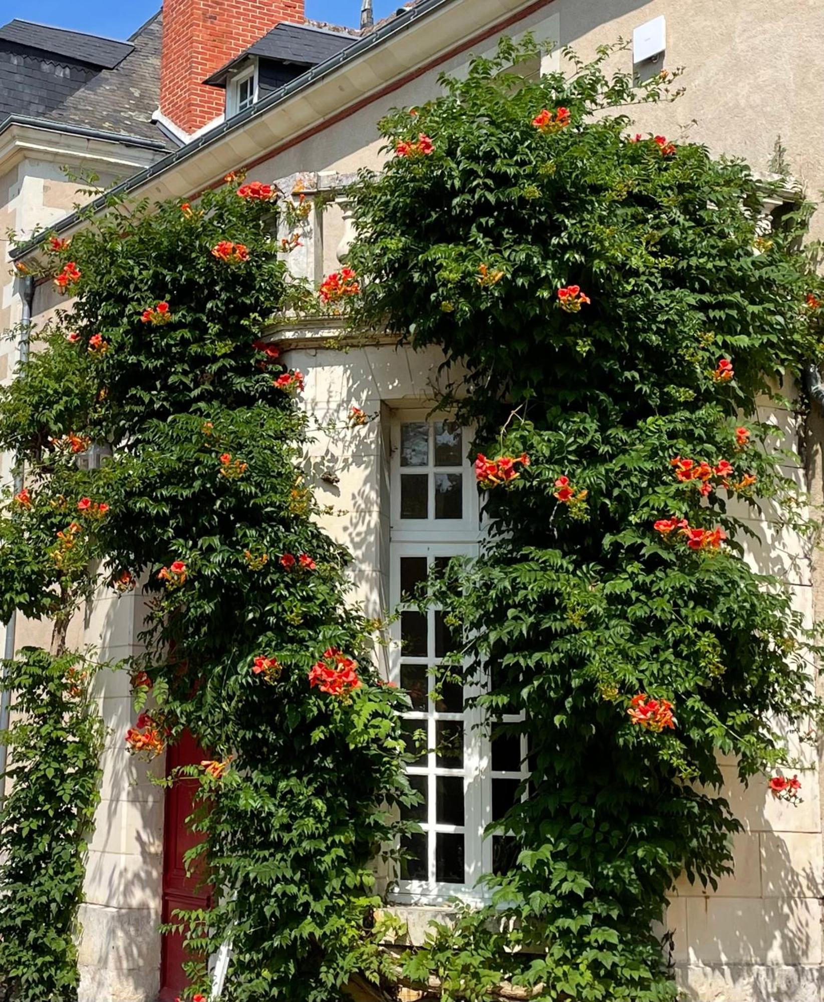 Chateau De La Huberdiere Nazelles-Negron Ngoại thất bức ảnh